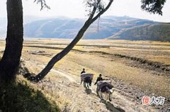 【爱历史】老照片：1939年的山西阳泉，“襟山带水、金城汤池”的娘子关