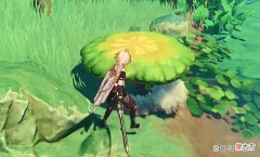 【游戏世界】原神：须弥版本开启后，这4大元素派系，必将强势“崛起”！