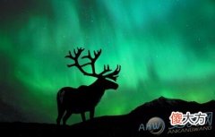 梦见驯鹿(图文)