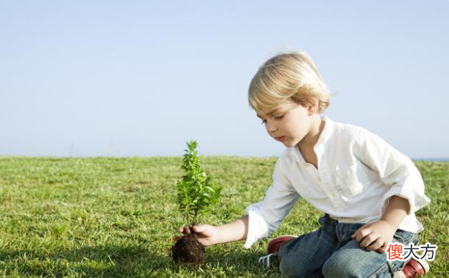 养育男孩,一定要在这5个方面使劲“富养”,将来才会更有出息