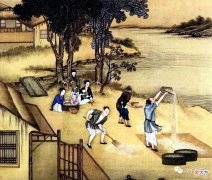 【历史故事】明代地方奇闻之神奇的白狗