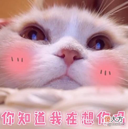 【历史故事】白行简：快把我哥（白居易）的朋友（元稹）带走！