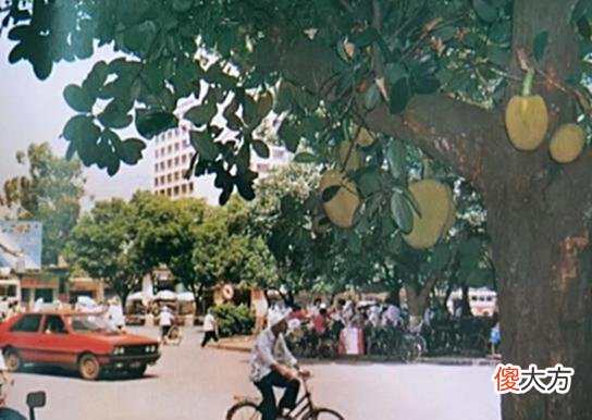 【历史故事】老照片：80年代的广西南宁，渐行渐远的邕城生活记忆