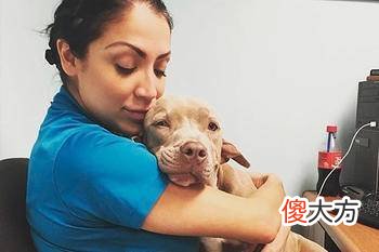 太奇特！这只汪星人竟在耳朵里长了只“嘴巴”！！