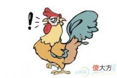 做梦梦见鸡叫 打鸣好不好(图文)