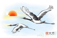 孕妇梦见仙鹤(图文)