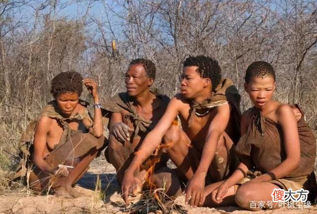 非洲矮人族：人均寿命30多，8岁可以结婚生子，曾被当做动物展览