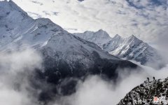 【星座控】7月底，前缘消散，从此桥归桥，路归路，各自天涯不相见的3个生肖