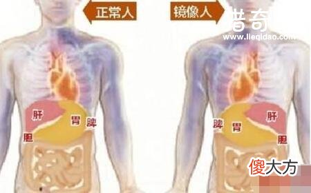 新疆罗布泊复制人事件，出现大量的镜像人(异类生命)