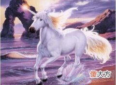 梦见白马长角(图文)