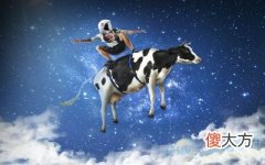 梦见母牛(图文)