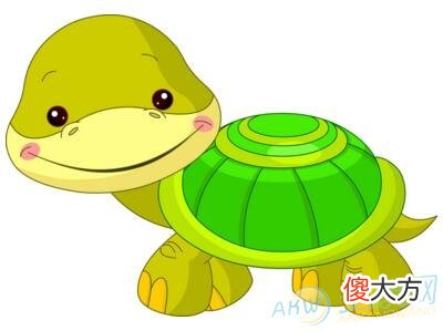 做梦梦见乌龟(图文)