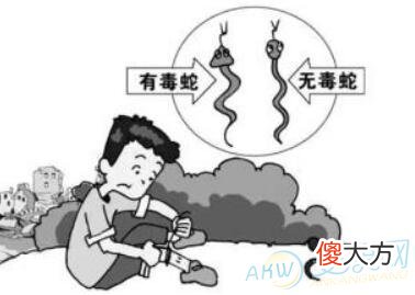 梦见被蛇咬小腿(图文)