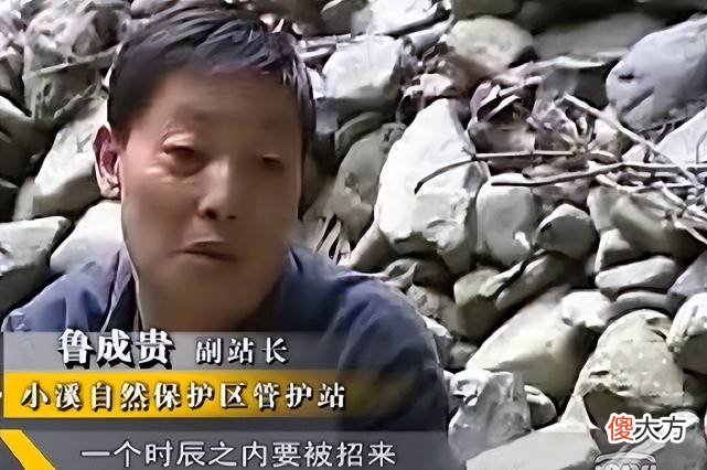 【爱历史】湘西蛇王鲁成贵的故事