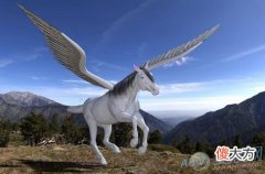 梦见马在天上飞(图文)
