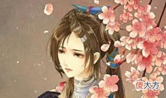 【爱历史】古代纯爱《权宠天下》，9.6评分，百看不厌，强推！