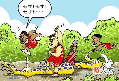 做梦梦到打死蛇(图文)