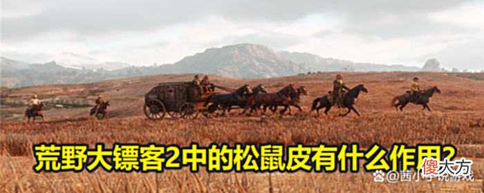 【游戏迷】荒野大镖客2松鼠皮怎么剥不了？