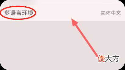 【游戏迷】《甜瓜游乐场》中文版怎么设置？