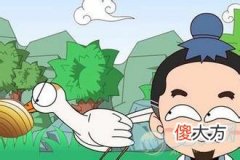 做梦梦见鹜蚌相争好不好(图文)