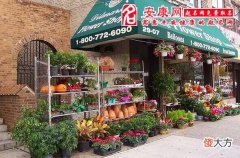 梦见花店意味什么(图文)