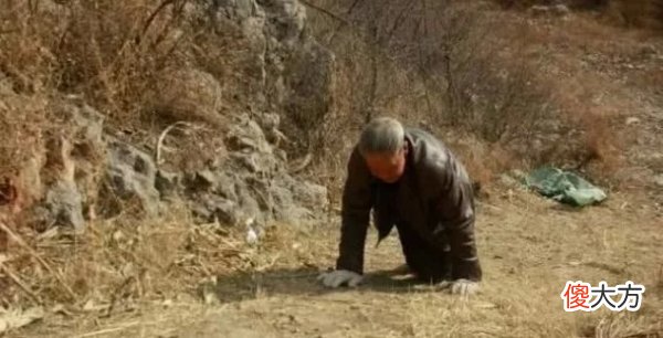 土耳其出现“4肢爬行”人类，科学家警告：人类需要时刻留心了！