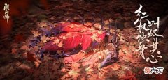 【游戏迷】阴阳师:心狩鬼女红叶强度不低,连续SP是在为周年庆埋雷