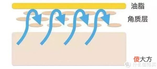 【时尚一点】夏日唇部怎么护养？保湿防晒不能忘！