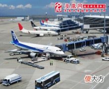 梦见飞机场(图文)