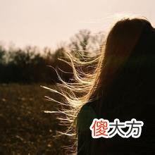 【爱历史】历史小说推荐—为你十里红妆，我在这乱世称王，尽在《乱世为王》