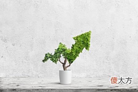 【游戏世界】就想打游戏不想上班，躺着赚钱？电竞陪练师了解一下