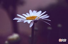 【爱历史】人老了,不管过得好不好,都别和儿女说这四种话