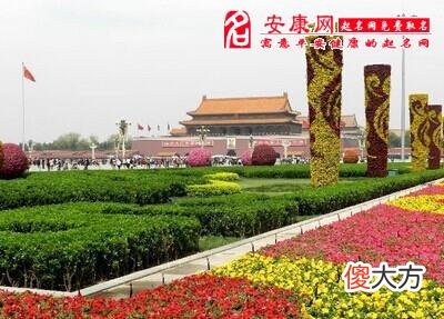 梦见广场(图文)