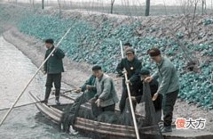 【历史故事】老照片：1972年的江苏无锡，难忘的无锡生活记忆