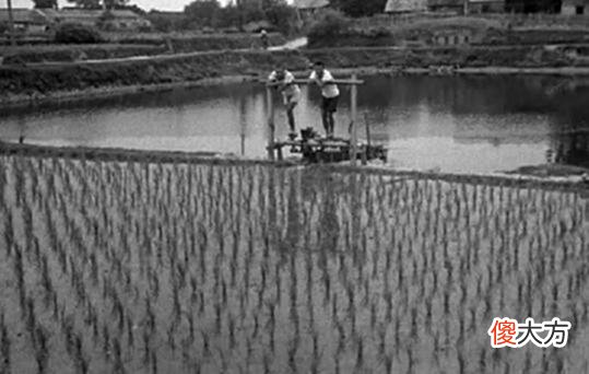 【历史故事】老照片：1942年的江西赣州，民国时期的“虔城”很繁华