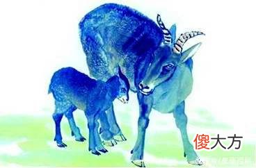 【十二星座】今生今世峰回路转,最终成为贵人的生肖,现在多穷也别怕