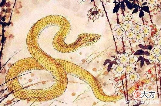 【十二星座】今生今世峰回路转,最终成为贵人的生肖,现在多穷也别怕