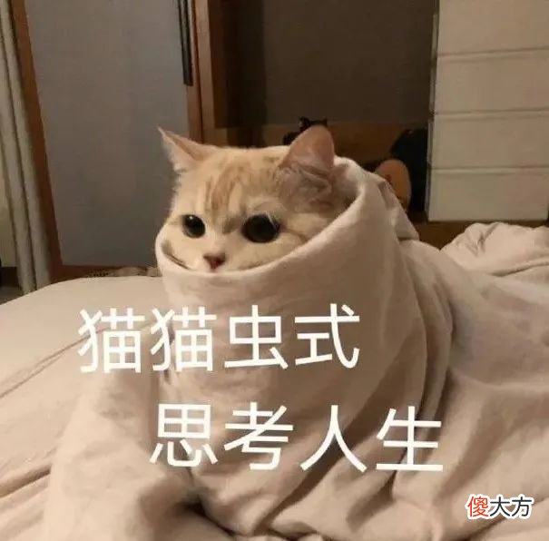 【就爱时尚】莞莞类卿2.0，抄袭抄到脸上，贵圈这波操作有点骚…