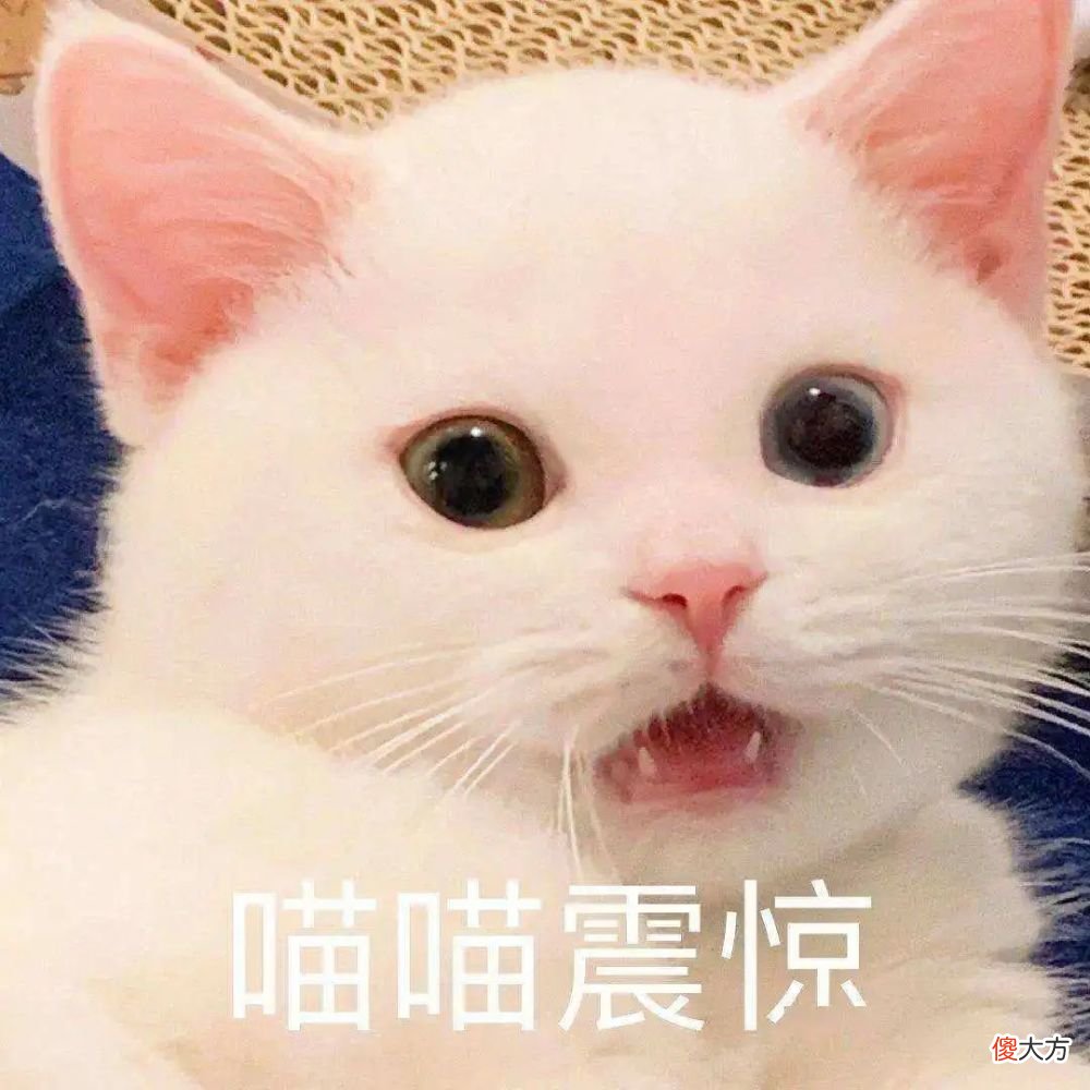 【就爱时尚】莞莞类卿2.0，抄袭抄到脸上，贵圈这波操作有点骚…