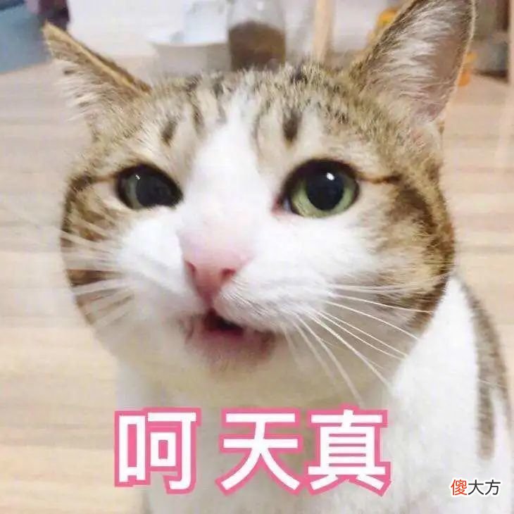 【就爱时尚】莞莞类卿2.0，抄袭抄到脸上，贵圈这波操作有点骚…