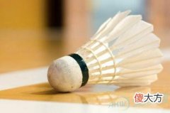 梦见羽毛球(图文)
