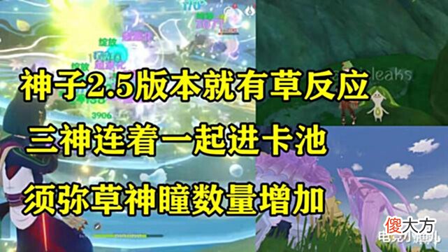 【游戏迷】原神:策划钦定的角色,原来神子2.5版本就有草反应,三神连着一起进卡池