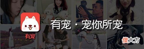 人兽虐恋！人与狗结婚，居然过上了“同居”的日子