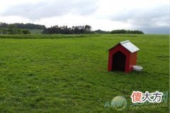 梦见狗窝(图文)