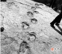 陕西发现巨大脚印，深入绝壁坚硬的岩石，到底是什么生物留下的？