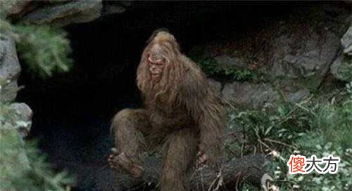 陕西发现巨大脚印,深入绝壁坚硬的岩石,到底是什么生物留下的?