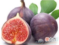 做梦梦见无花果好不好？了解梦境特点(图文)