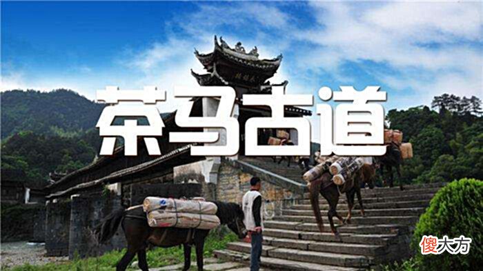 【爱历史】长长的古道,承载着浓重的历史,来了解一下吧