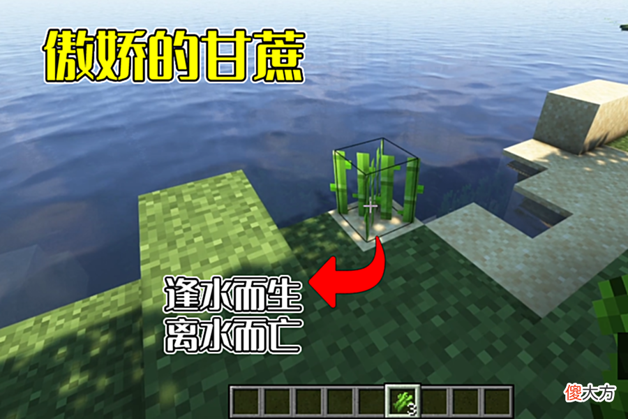 【游戏迷】我的世界：6个MC奇怪特性，箭矢还可以透墙？Mojang：特性而已