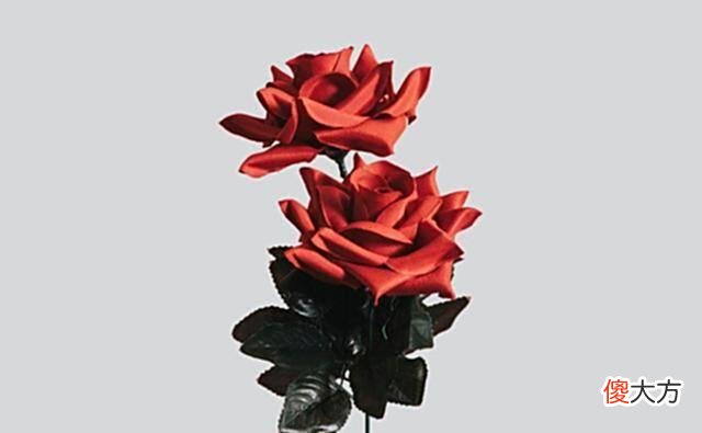 【爱历史】犹太人：穷人与富人的区别（值得一读）